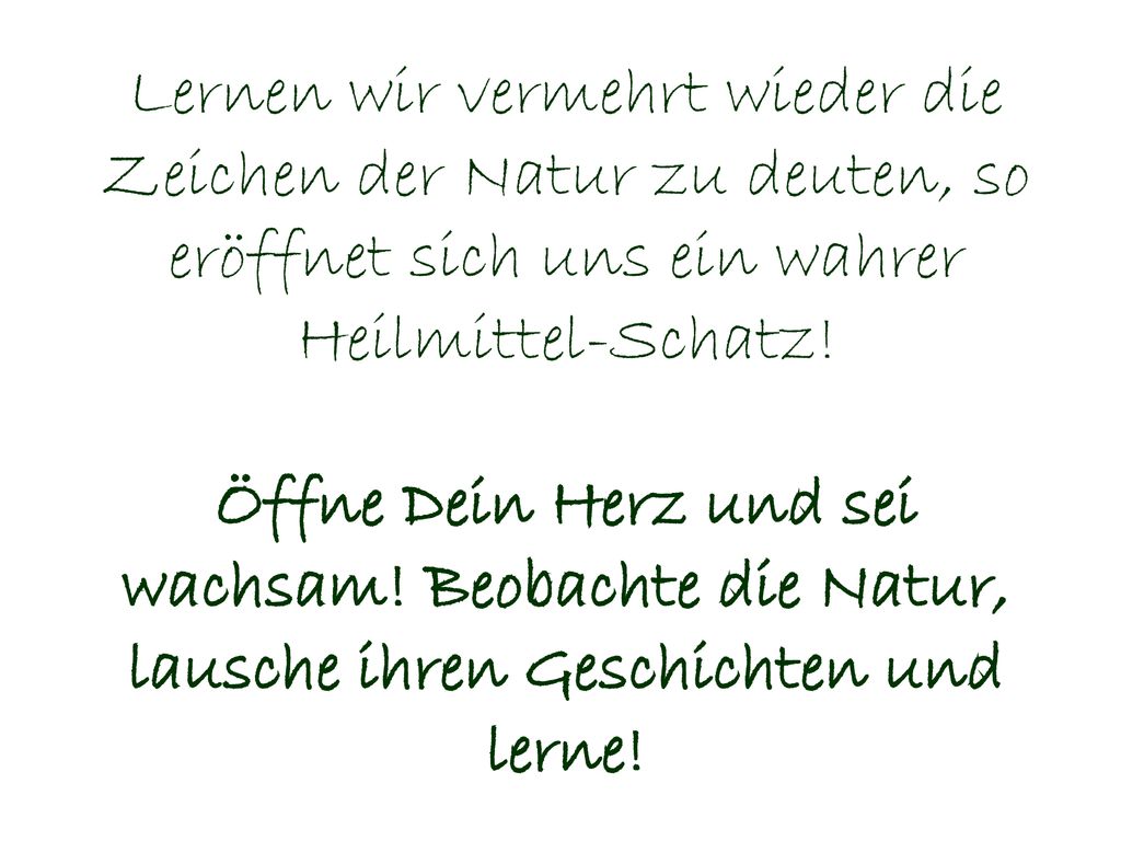 Lernen wir vermehrt wieder die Zeichen der Natur zu deuten, so eröffnet sich uns ein wahrer Heilmittel-Schatz.