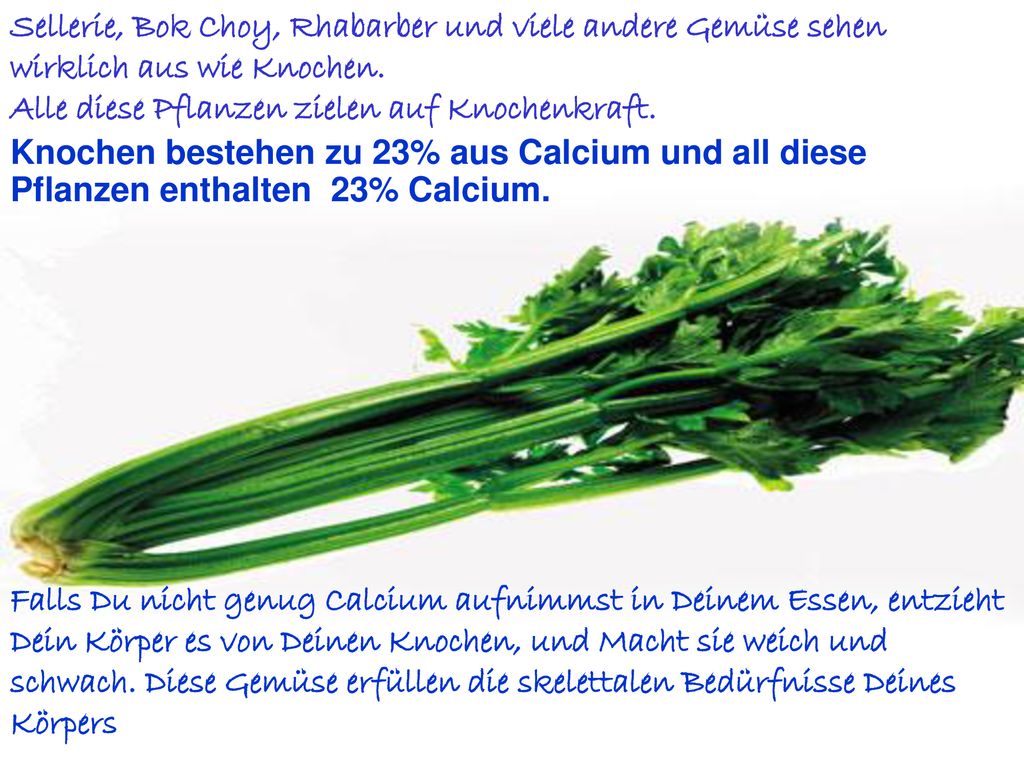 Sellerie, Bok Choy, Rhabarber und viele andere Gemüse sehen wirklich aus wie Knochen.