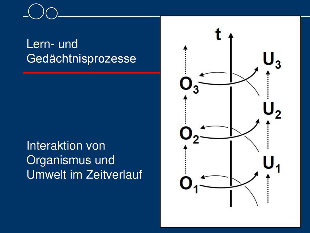Lern- und Gedächtnisprozesse Interaktion von Organismus und Umwelt im Zeitverlauf