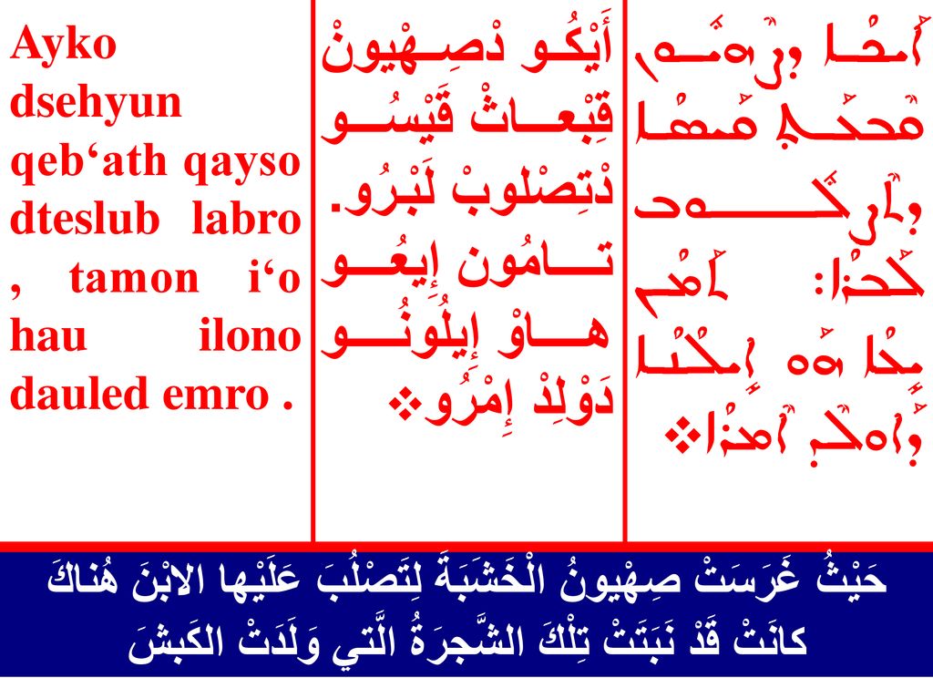 Ayko dsehyun qeb‘ath qayso dteslub labro , tamon i‘o hau ilono dauled emro .