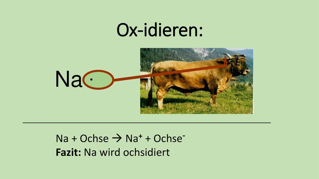 Ox-idieren: Na· Na + Ochse  Na+ + Ochse- Fazit: Na wird ochsidiert