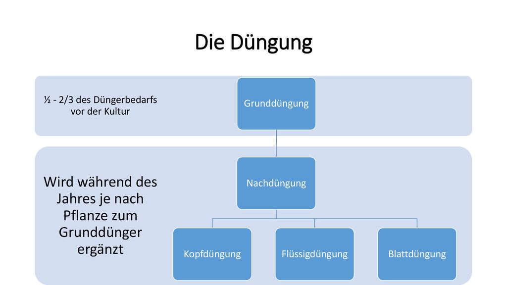Die Düngung Wird während des Jahres je nach Pflanze zum Grunddünger ergänzt. ½ - 2/3 des Düngerbedarfs vor der Kultur.
