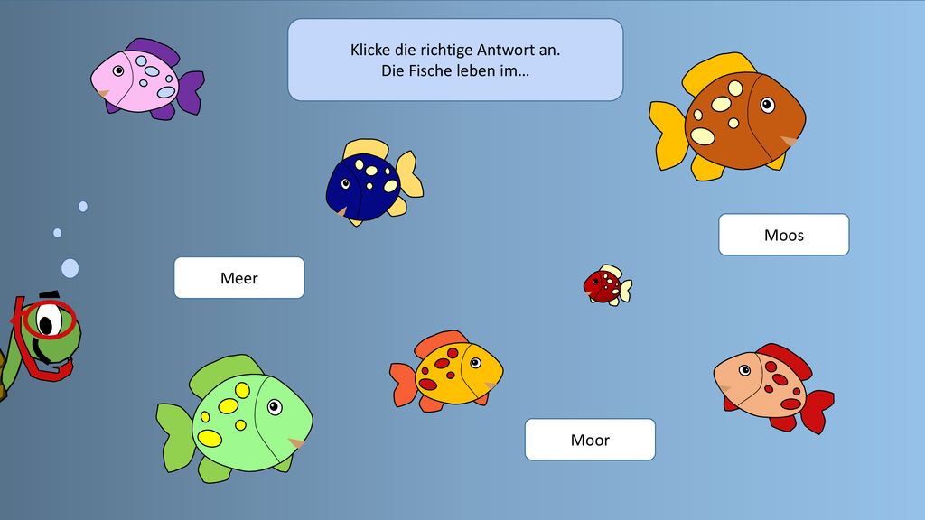 Klicke die richtige Antwort an. Die Fische leben im…
