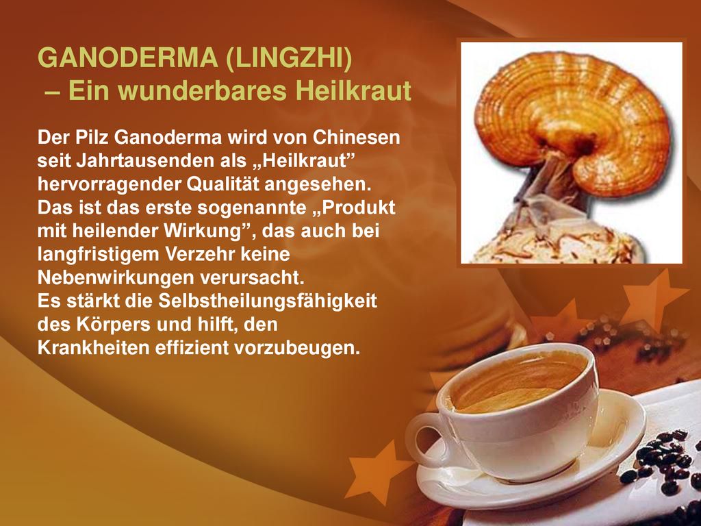 GANODERMA (LINGZHI) – Ein wunderbares Heilkraut Der Pilz Ganoderma wird von Chinesen seit Jahrtausenden als „Heilkraut hervorragender Qualität angesehen.