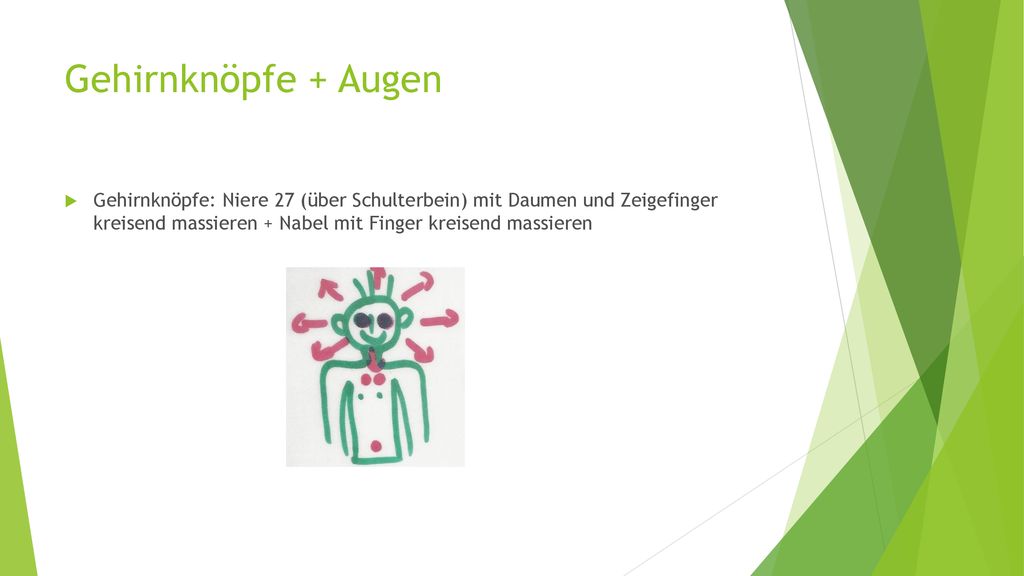 Gehirnknöpfe + Augen Gehirnknöpfe: Niere 27 (über Schulterbein) mit Daumen und Zeigefinger kreisend massieren + Nabel mit Finger kreisend massieren.