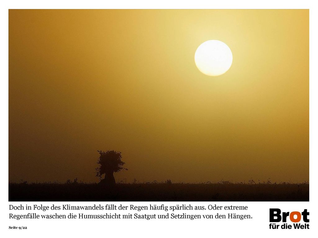Doch in Folge des Klimawandels fällt der Regen häufig spärlich aus