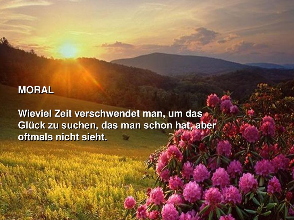 MORAL Wieviel Zeit verschwendet man, um das Glück zu suchen, das man schon hat, aber oftmals nicht sieht.