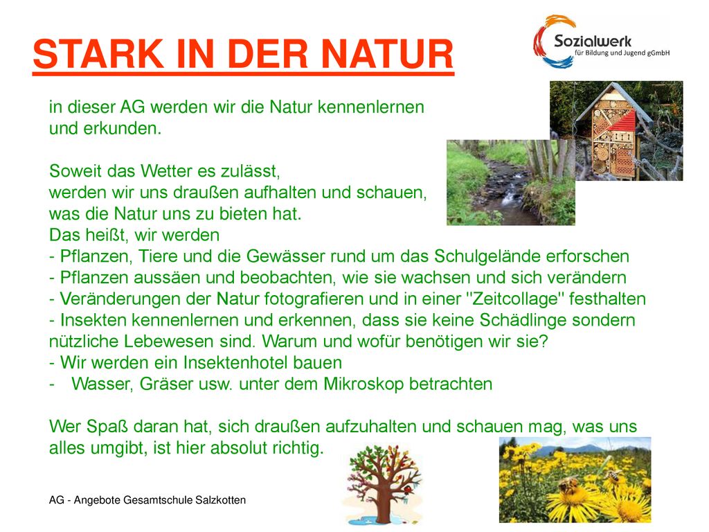 STARK IN DER NATUR in dieser AG werden wir die Natur kennenlernen