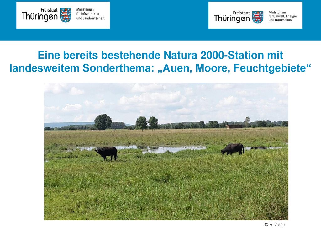 Eine bereits bestehende Natura 2000-Station mit landesweitem Sonderthema: „Auen, Moore, Feuchtgebiete