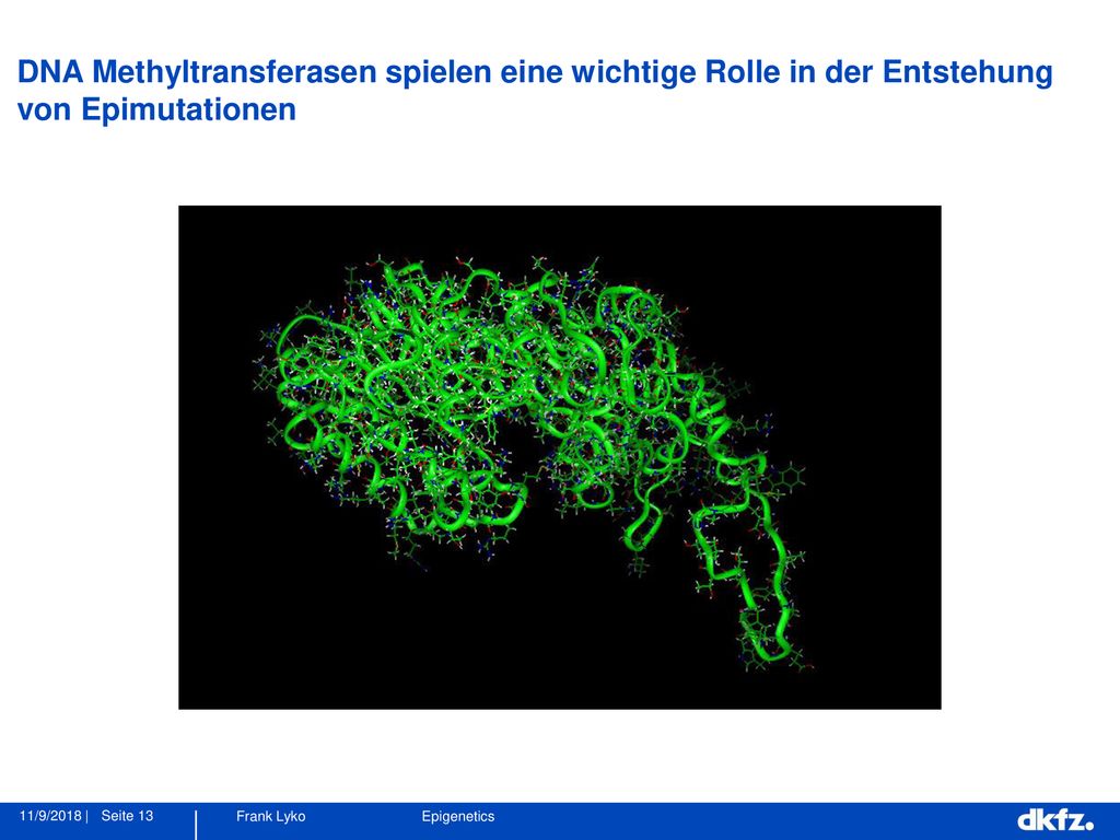 DNA Methyltransferasen spielen eine wichtige Rolle in der Entstehung von Epimutationen