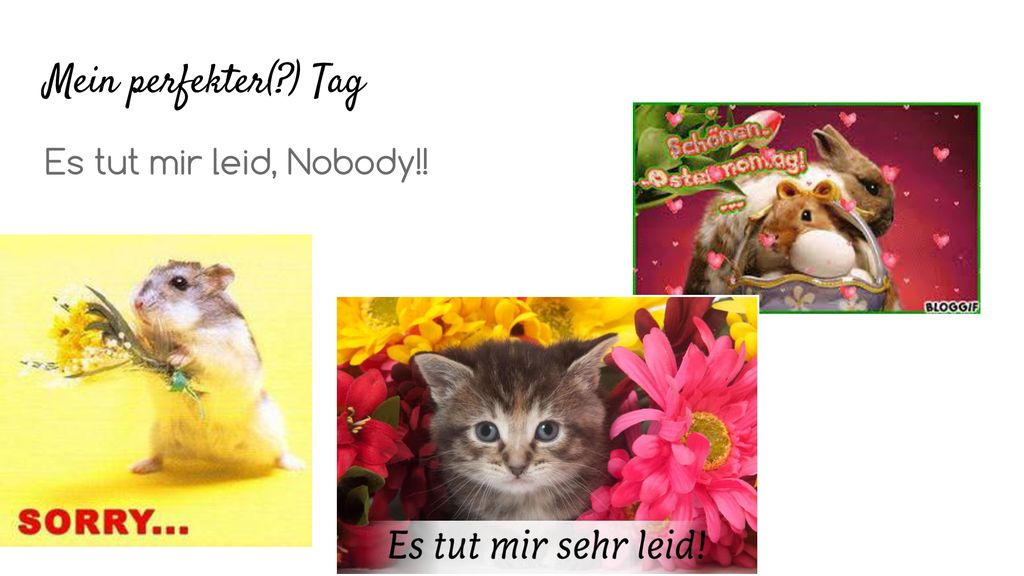 Mein perfekter( ) Tag Es tut mir leid, Nobody!!