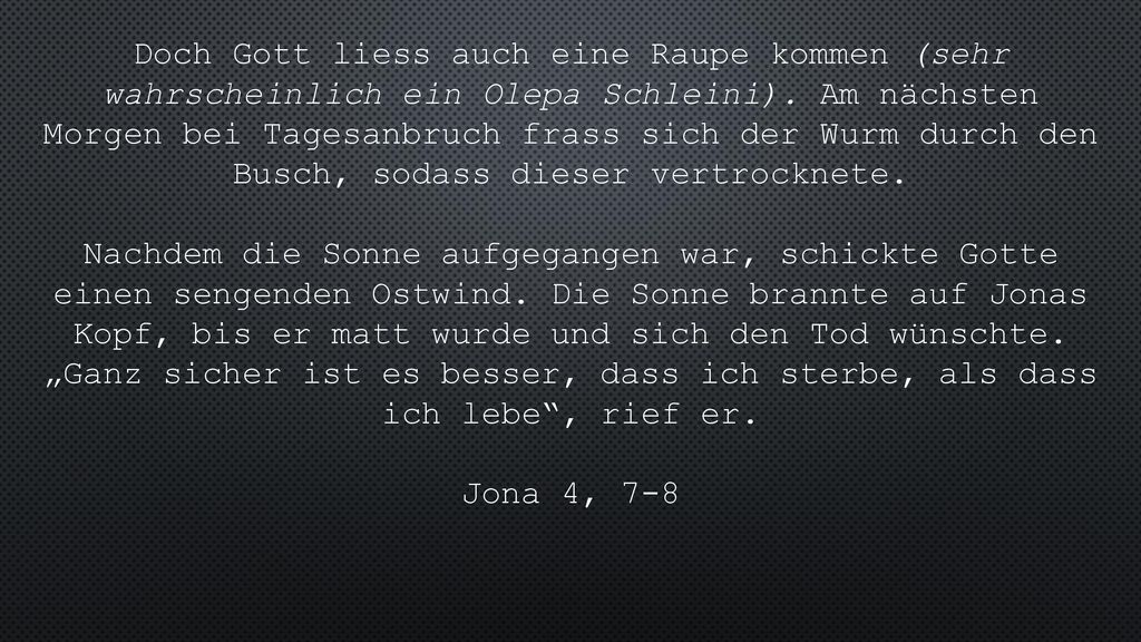 Doch Gott liess auch eine Raupe kommen (sehr wahrscheinlich ein Olepa Schleini). Am nächsten Morgen bei Tagesanbruch frass sich der Wurm durch den Busch, sodass dieser vertrocknete.