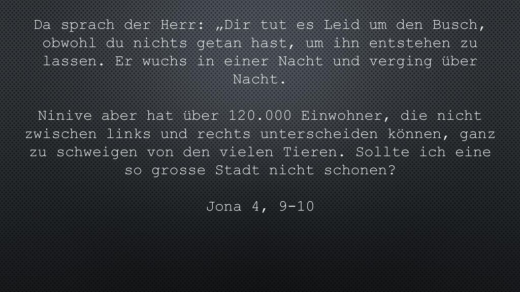 Da sprach der Herr: „Dir tut es Leid um den Busch, obwohl du nichts getan hast, um ihn entstehen zu lassen. Er wuchs in einer Nacht und verging über Nacht.