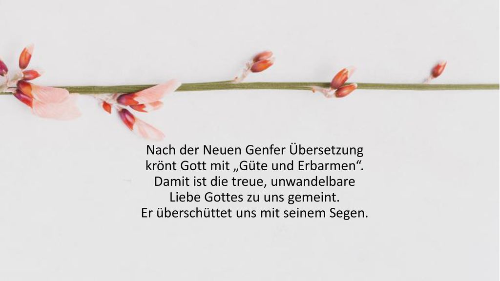 Nach der Neuen Genfer Übersetzung krönt Gott mit „Güte und Erbarmen