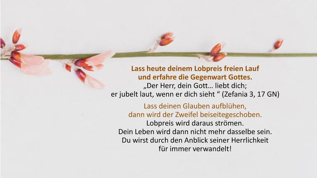 Lass heute deinem Lobpreis freien Lauf und erfahre die Gegenwart Gottes. „Der Herr, dein Gott… liebt dich; er jubelt laut, wenn er dich sieht (Zefania 3, 17 GN)