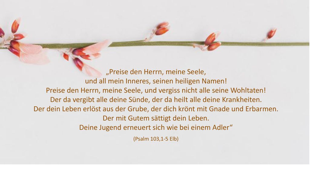 „Preise den Herrn, meine Seele, und all mein Inneres, seinen heiligen Namen! Preise den Herrn, meine Seele, und vergiss nicht alle seine Wohltaten! Der da vergibt alle deine Sünde, der da heilt alle deine Krankheiten. Der dein Leben erlöst aus der Grube, der dich krönt mit Gnade und Erbarmen. Der mit Gutem sättigt dein Leben. Deine Jugend erneuert sich wie bei einem Adler