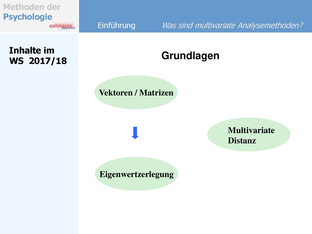 Grundlagen Inhalte im WS 2017/18 Vektoren / Matrizen Multivariate