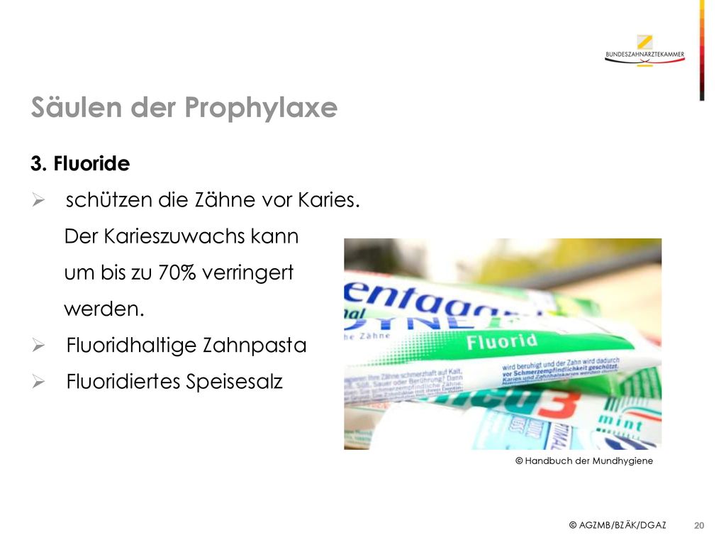 Säulen der Prophylaxe 3. Fluoride schützen die Zähne vor Karies.