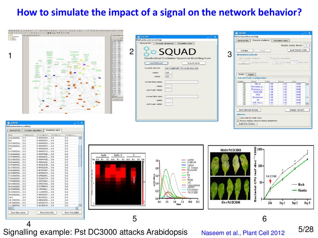 How to simulate the impact of a signal on the network behavior