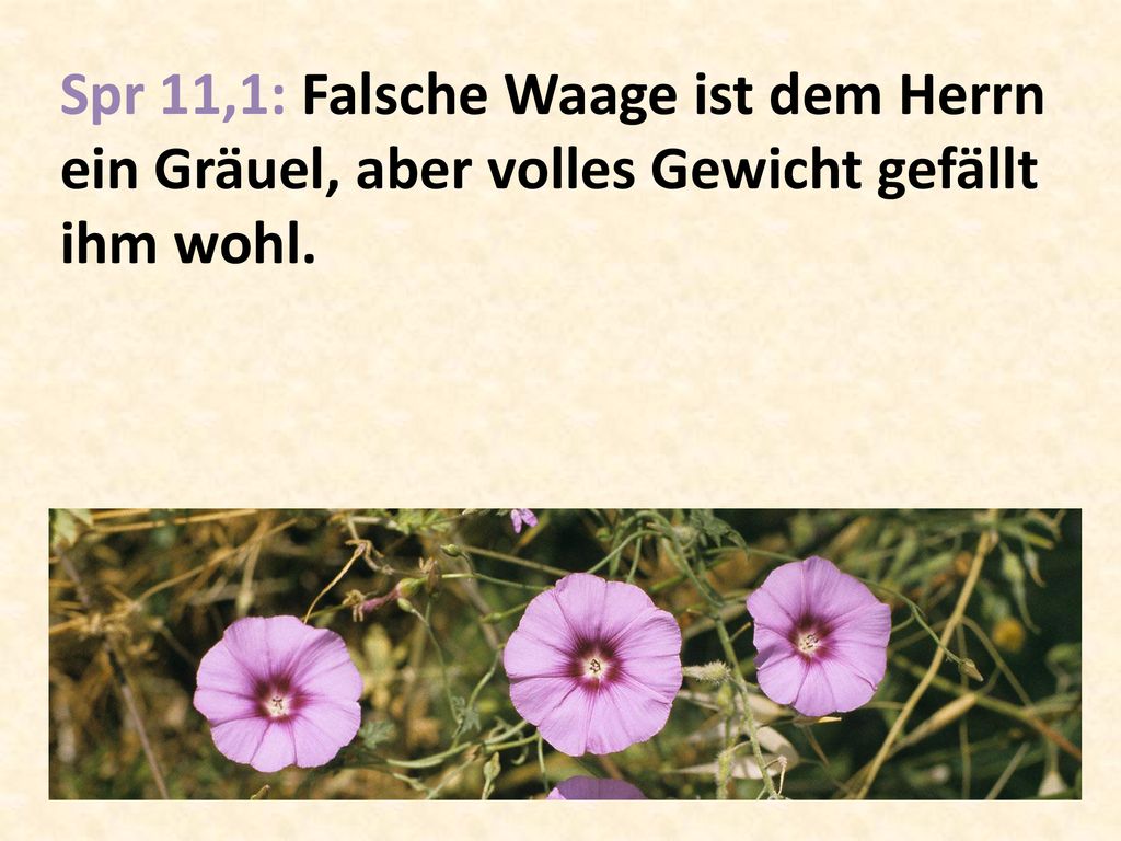 Spr 11,1: Falsche Waage ist dem Herrn ein Gräuel, aber volles Gewicht gefällt ihm wohl.