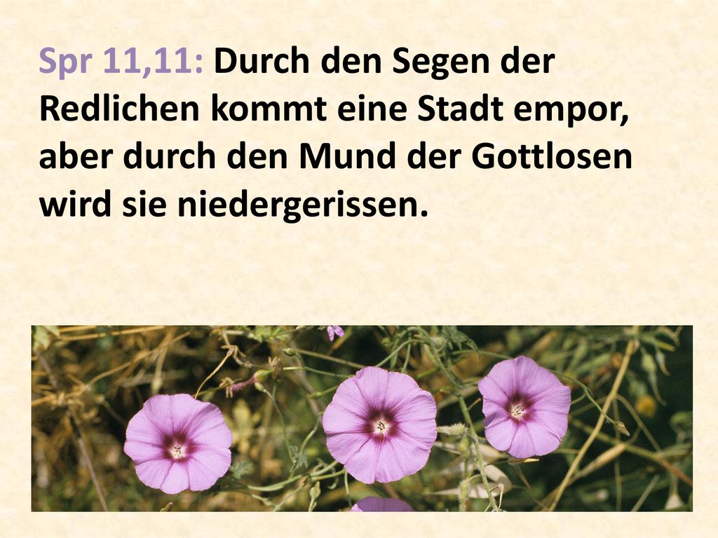 Spr 11,11: Durch den Segen der Redlichen kommt eine Stadt empor, aber durch den Mund der Gottlosen wird sie niedergerissen.