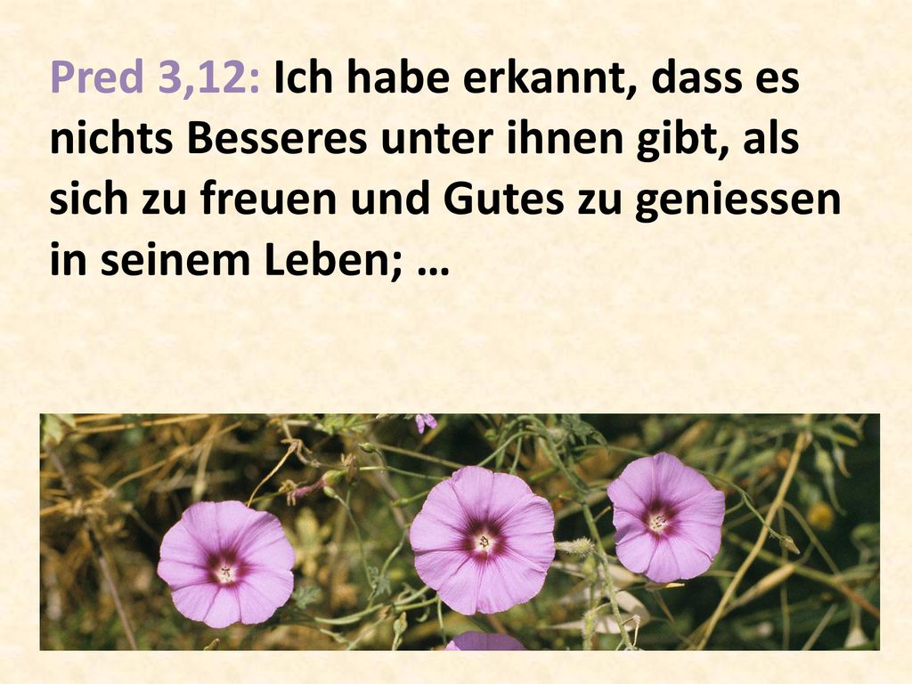 Pred 3,12: Ich habe erkannt, dass es nichts Besseres unter ihnen gibt, als sich zu freuen und Gutes zu geniessen in seinem Leben; …