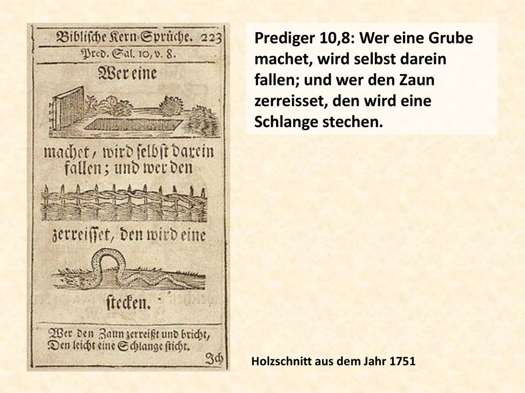 Prediger 10,8: Wer eine Grube machet, wird selbst darein fallen; und wer den Zaun zerreisset, den wird eine Schlange stechen.