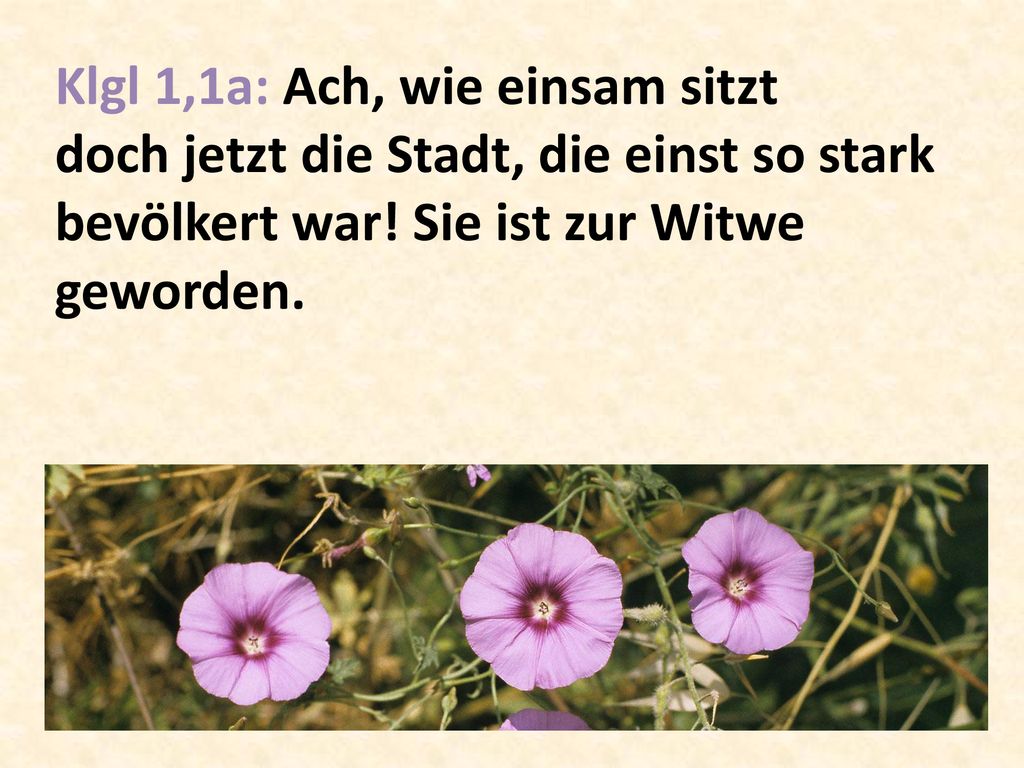 Klgl 1,1a: Ach, wie einsam sitzt doch jetzt die Stadt, die einst so stark bevölkert war.