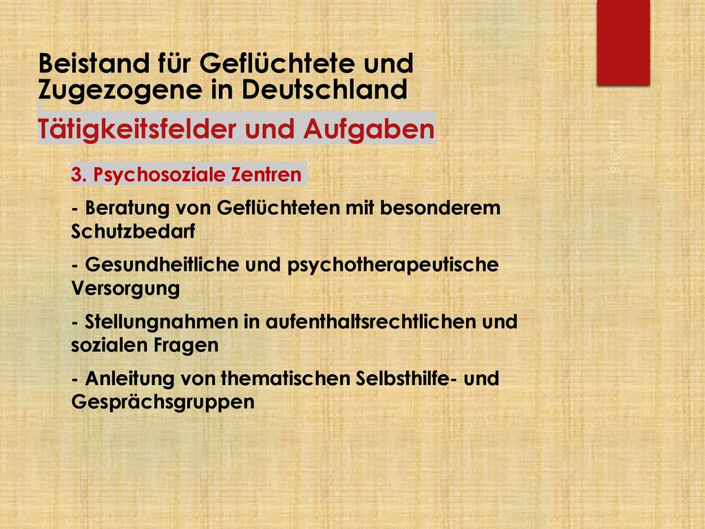 Beistand für Geflüchtete und Zugezogene in Deutschland Tätigkeitsfelder und Aufgaben