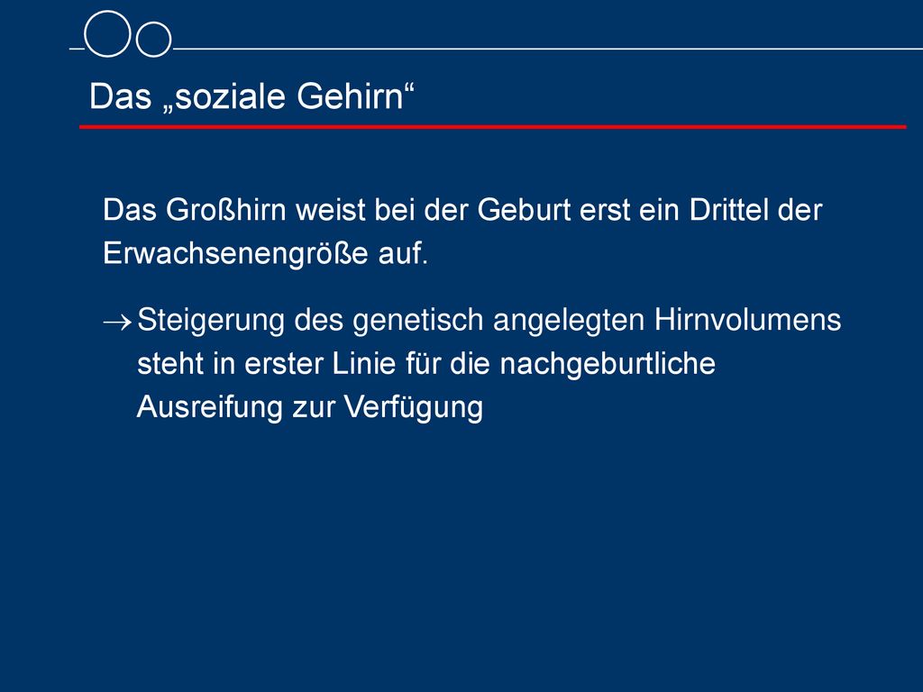 Das „soziale Gehirn Das Großhirn weist bei der Geburt erst ein Drittel der Erwachsenengröße auf.