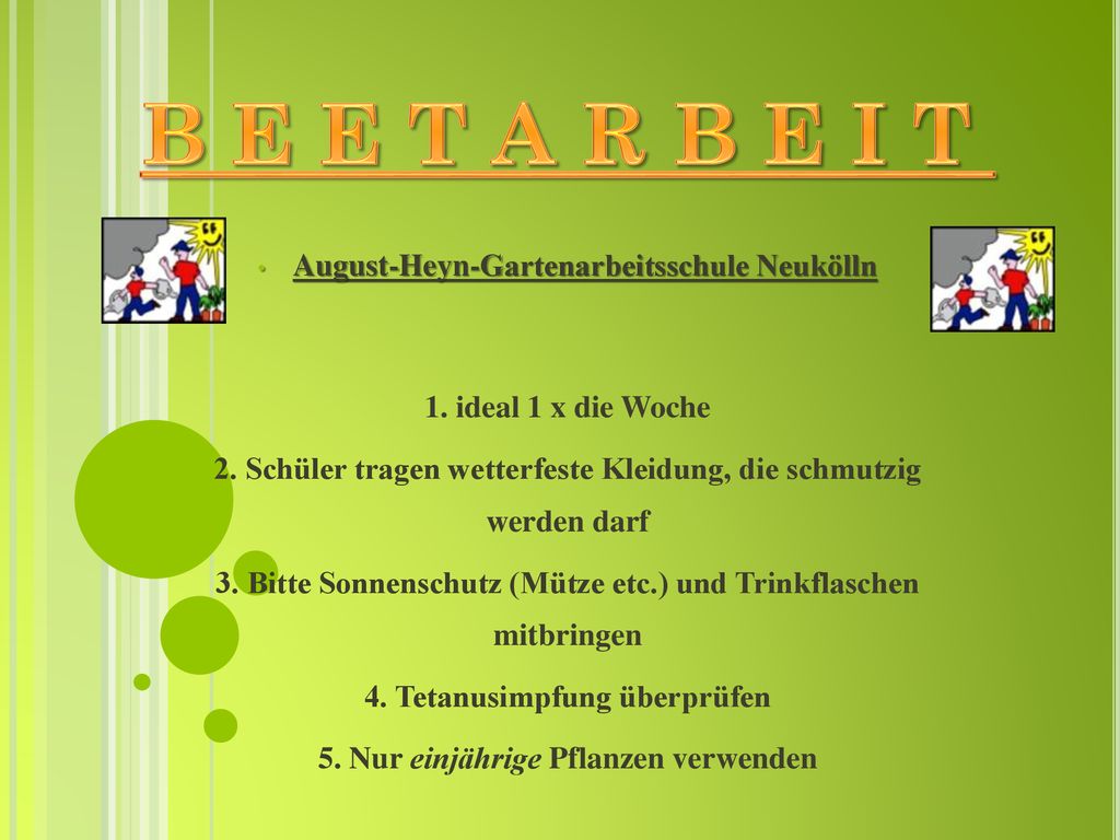 B E E T A R B E I T August-Heyn-Gartenarbeitsschule Neukölln