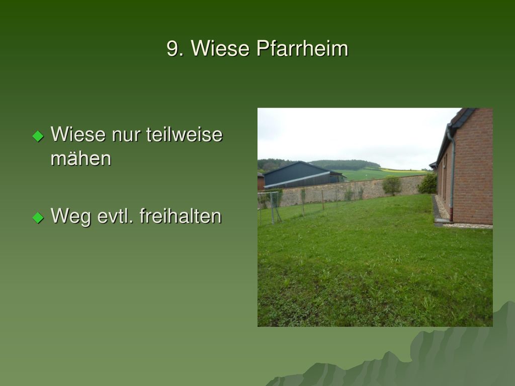 9. Wiese Pfarrheim Wiese nur teilweise mähen Weg evtl. freihalten