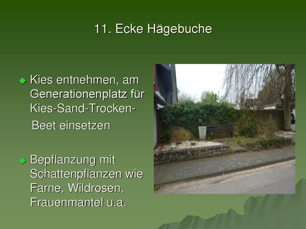 11. Ecke Hägebuche Kies entnehmen, am Generationenplatz für Kies-Sand-Trocken- Beet einsetzen.
