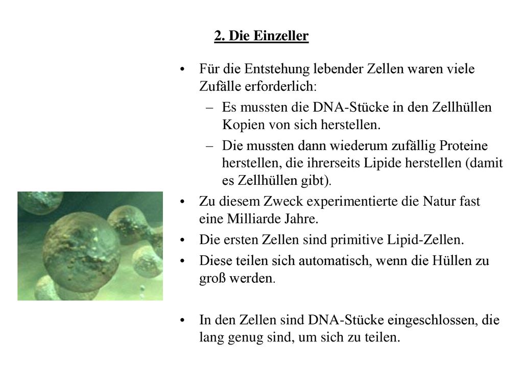 2. Die Einzeller Für die Entstehung lebender Zellen waren viele Zufälle erforderlich: