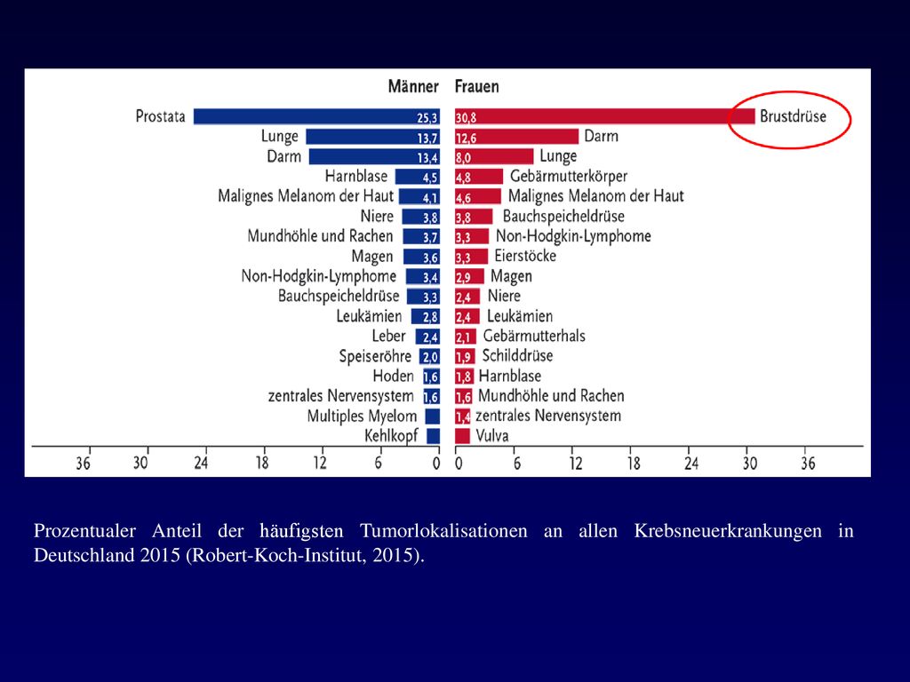 Prozentualer Anteil der häufigsten Tumorlokalisationen an allen Krebsneuerkrankungen in Deutschland 2015 (Robert-Koch-Institut, 2015).