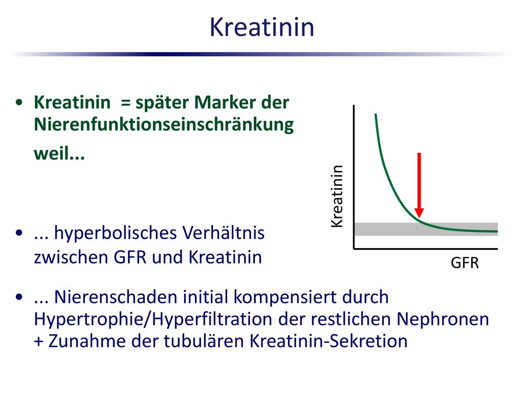 Kreatinin Kreatinin = später Marker der Nierenfunktionseinschränkung weil... Kreatinin. ... hyperbolisches Verhältnis zwischen GFR und Kreatinin.