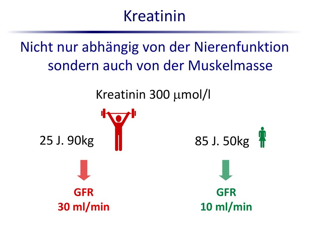 Kreatinin Nicht nur abhängig von der Nierenfunktion sondern auch von der Muskelmasse. Kreatinin 300 mol/l.