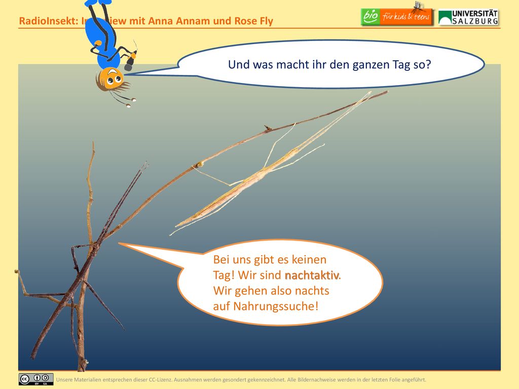 Und was macht ihr den ganzen Tag so