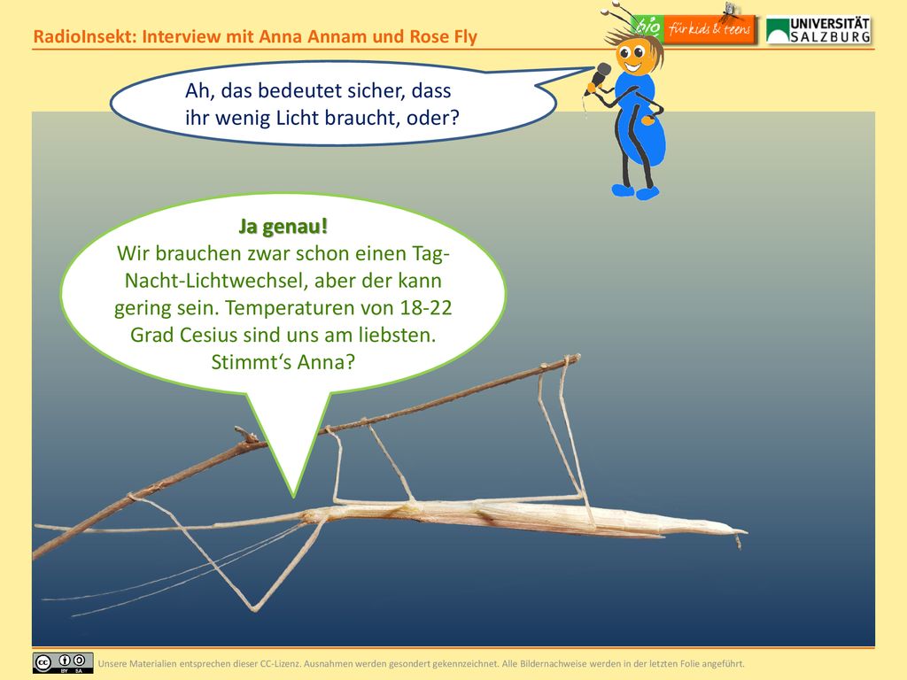Ah, das bedeutet sicher, dass ihr wenig Licht braucht, oder