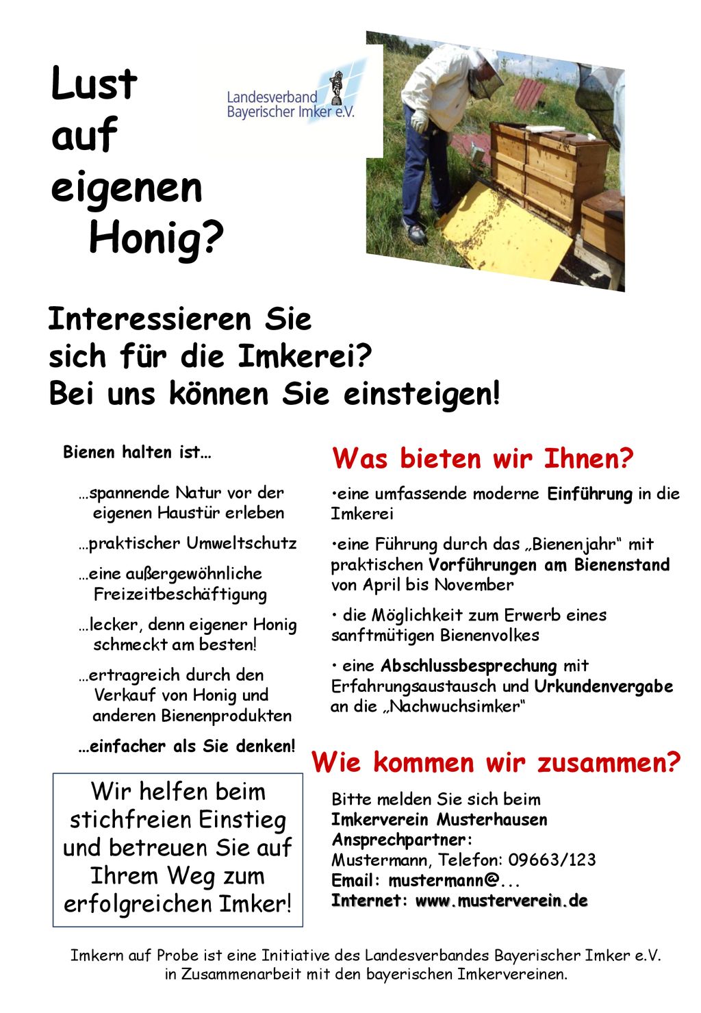 Lust auf eigenen Honig Interessieren Sie sich für die Imkerei