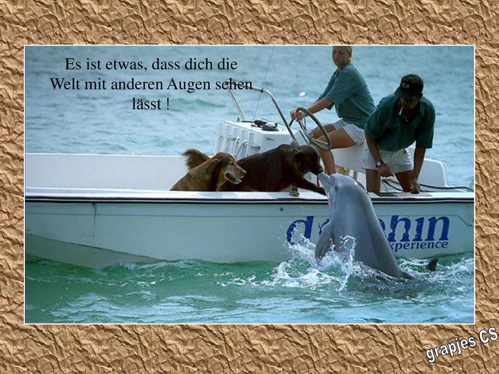 Es ist etwas, dass dich die Welt mit anderen Augen sehen lässt !