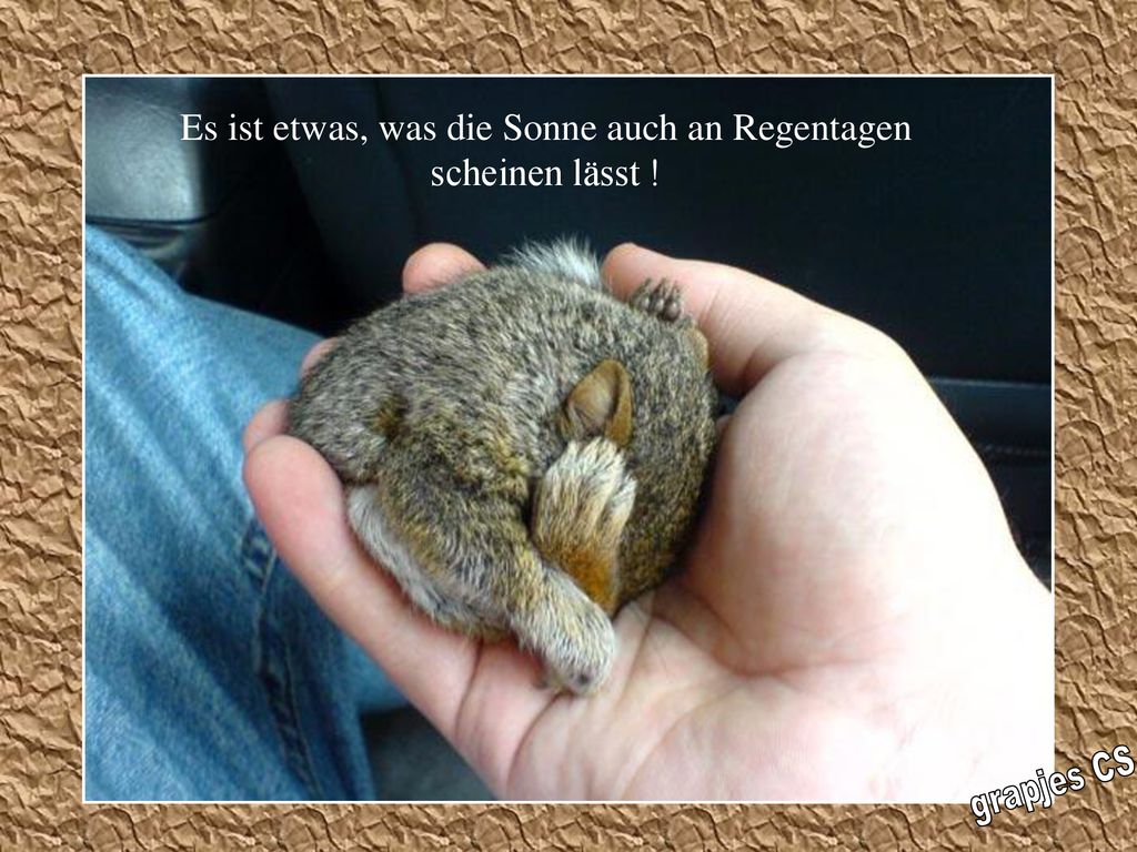 Es ist etwas, was die Sonne auch an Regentagen scheinen lässt !