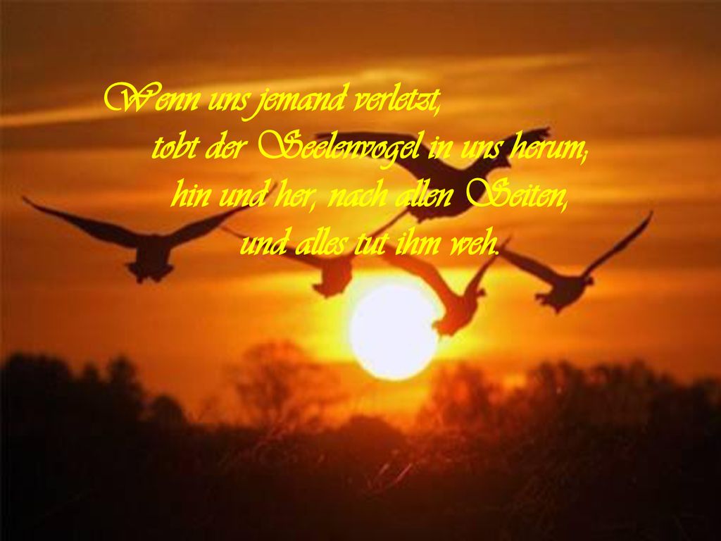 tobt der Seelenvogel in uns herum; hin und her, nach allen Seiten,