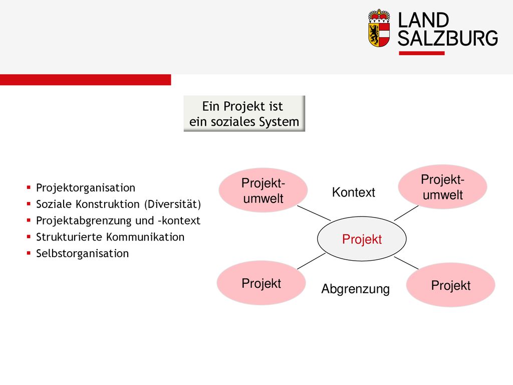 Ein Projekt ist ein soziales System Projekt- Projekt- umwelt umwelt