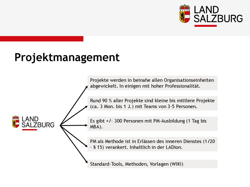 Projektmanagement Projekte werden in beinahe allen Organisationseinheiten abgewickelt. In einigen mit hoher Professionalität.