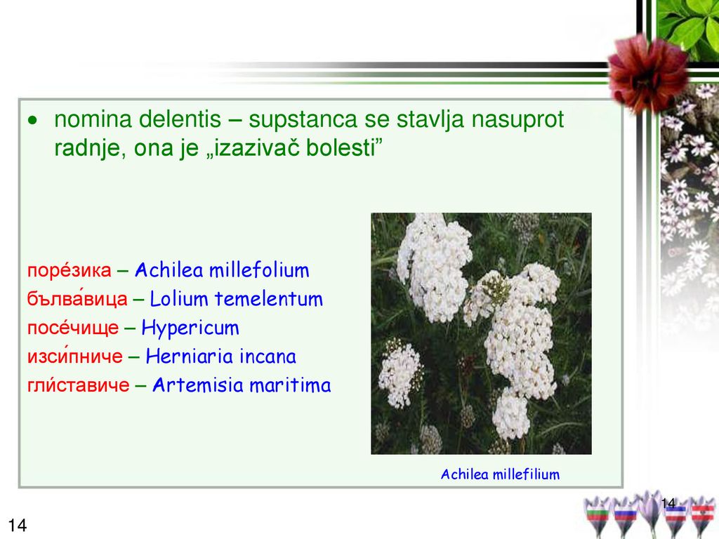 nomina delentis – supstanca se stavlja nasuprot radnje, ona je „izazivač bolesti