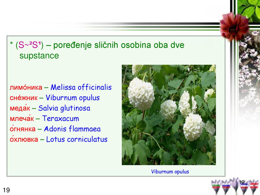* (S~²S¹) – poređenje sličnih osobina oba dve supstance