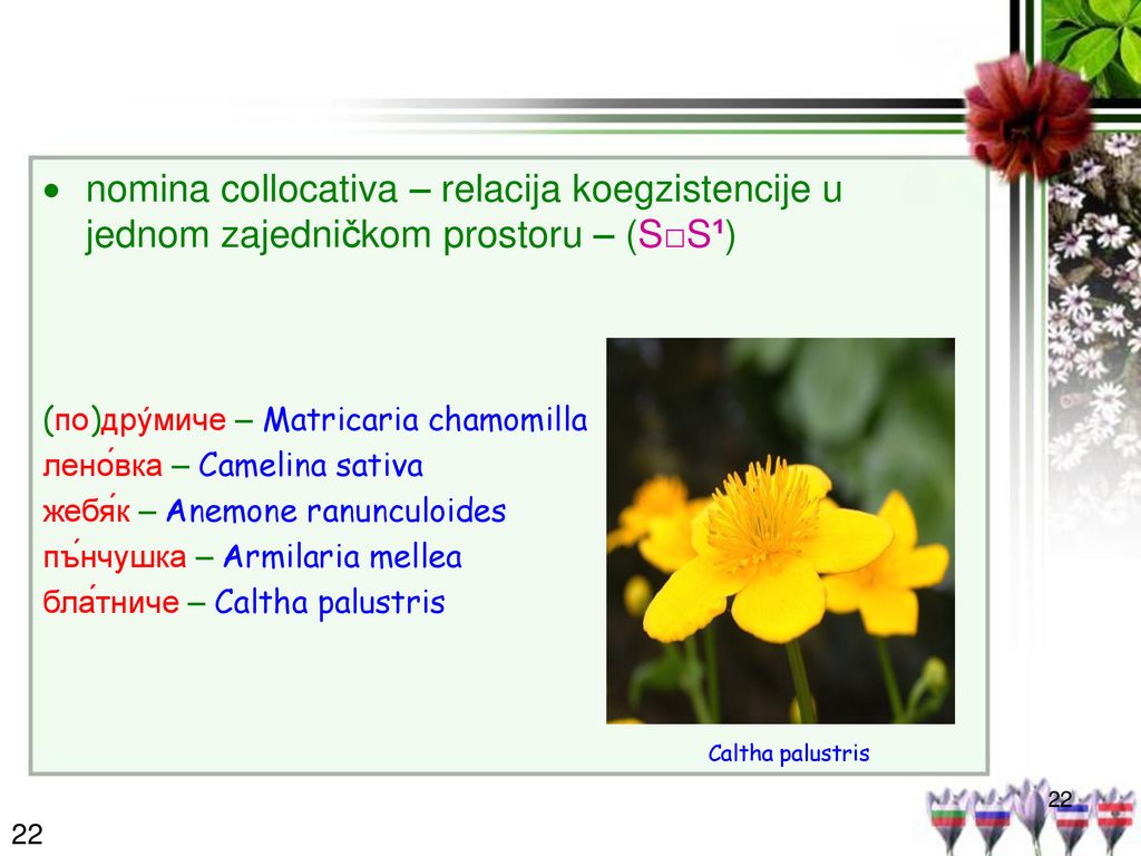 nomina collocativa – relacija koegzistencije u jednom zajedničkom prostoru – (S□S¹)