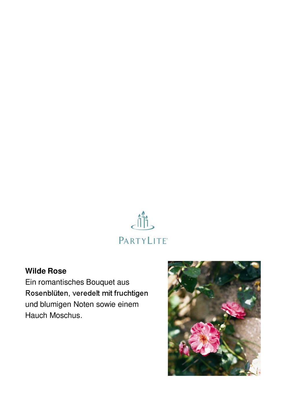 Wilde Rose Ein romantisches Bouquet aus. Rosenblüten, veredelt mit fruchtigen. und blumigen Noten sowie einem.