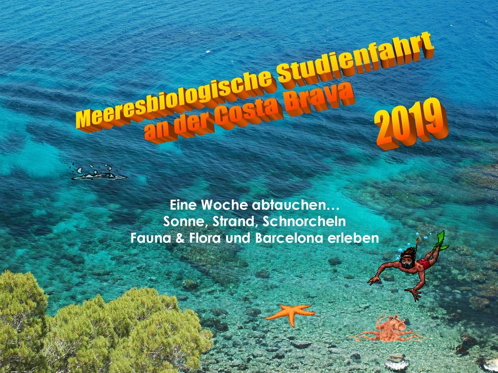 Sonne, Strand, Schnorcheln Fauna & Flora und Barcelona erleben